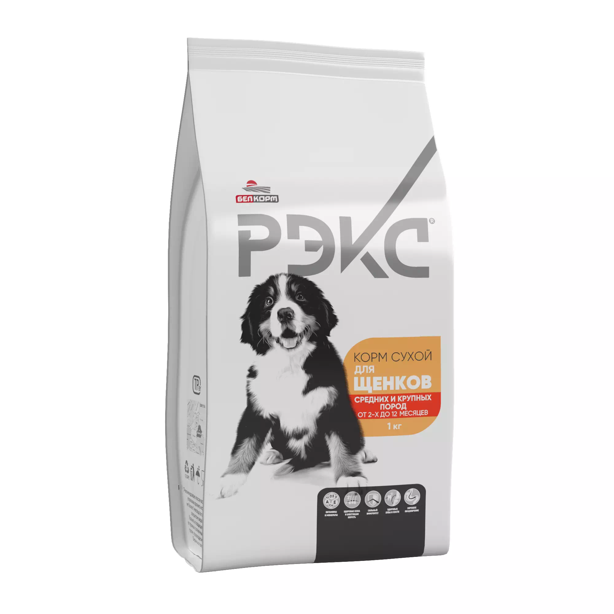 "Rex" dry food for puppies of medium and large breeds from 2 to 12 months