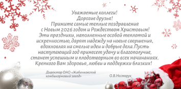 С Новым 2026 годом и Рождеством Христовым!