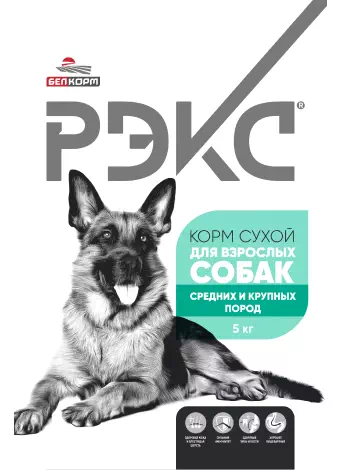 РЭКС