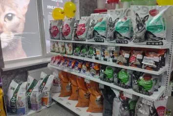 news-galery