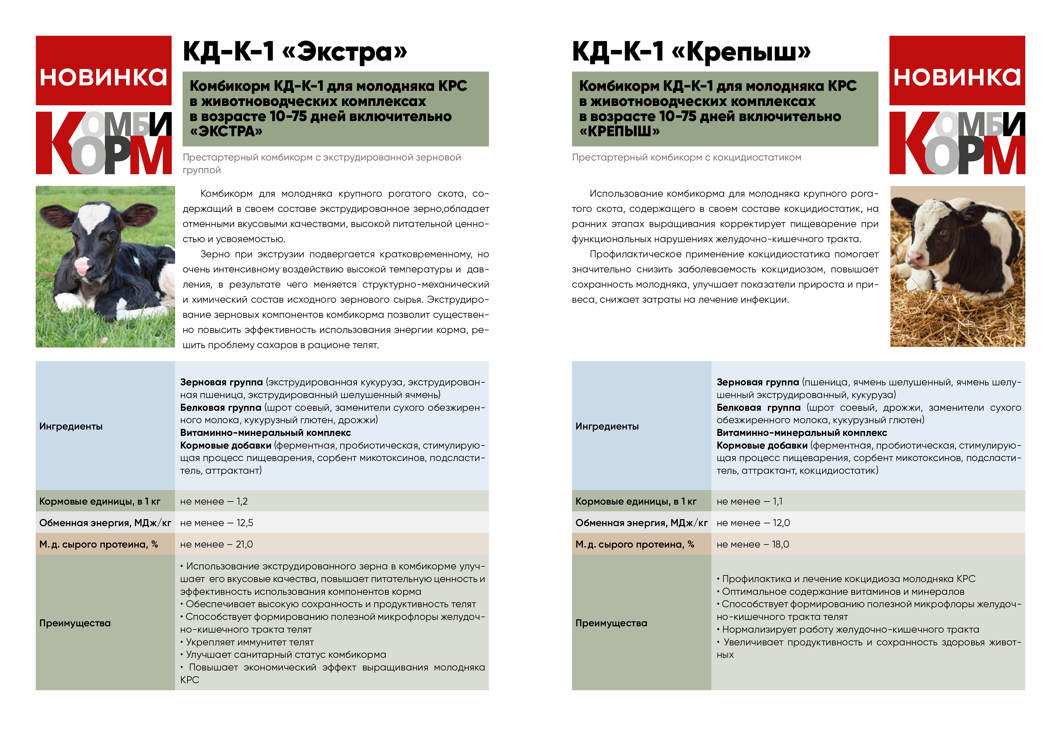news-galery
