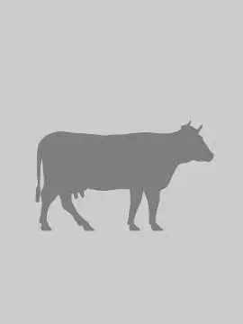 КК-61 Комбикорм-концентрат для молочных коров продуктивностью свыше 6000 кг